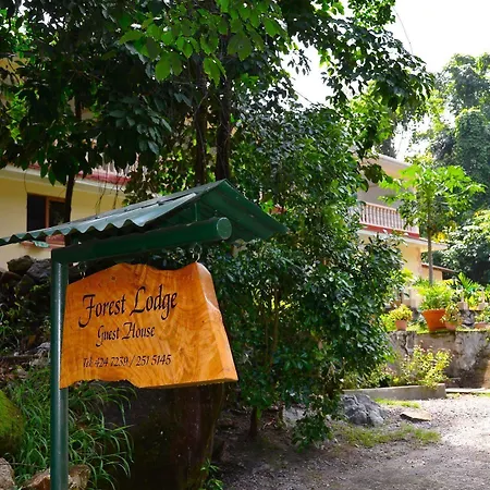 Forest Lodge