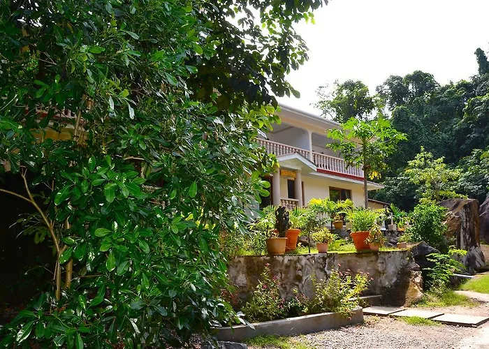 Forest Guest house Bel Ombre