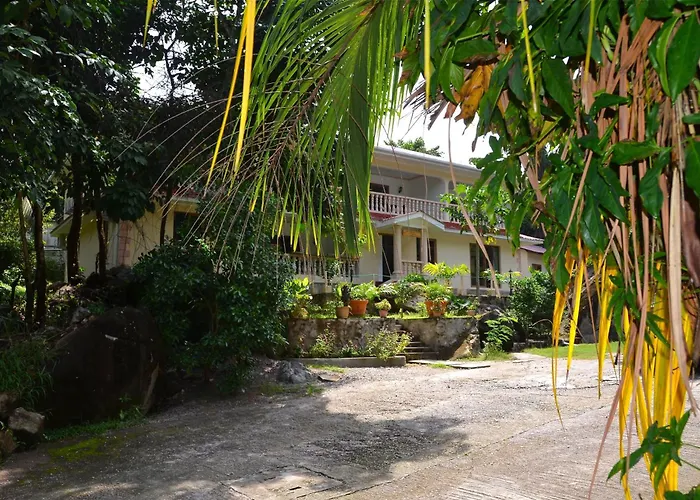 Forest Guest house