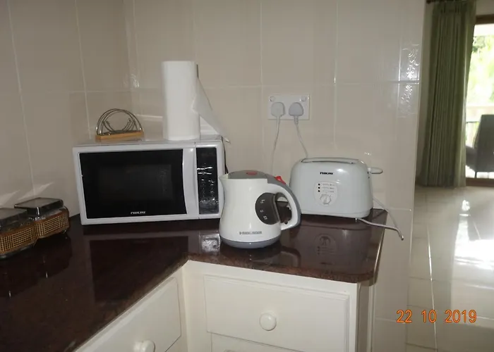 Forest Guest house