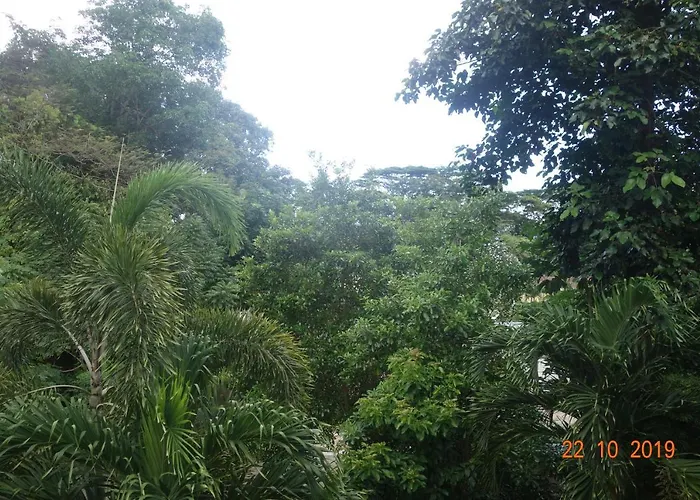Guest house Forest 4*